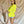 Lime Love Blazer